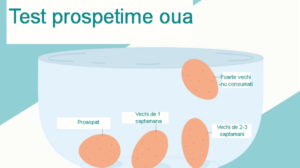 Cum verificati daca ouale sunt proaspete? Acest test va ajuta!